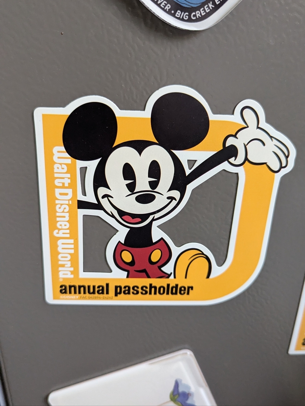 Disney Pass holder Magnet